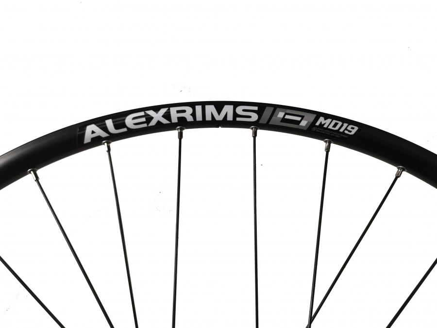 md19 alexrims